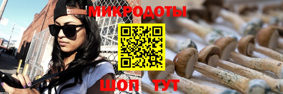 Псилоцибиновые грибы GOLDEN TEACHER  Вход с VPN  Тихорецк 